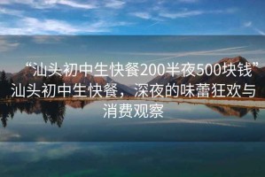 “汕頭初中生快餐200半夜500塊錢”汕頭初中生快餐，深夜的味蕾狂歡與消費(fèi)觀察