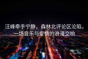 汪峰牽手寧?kù)o，森林北評(píng)論區(qū)淪陷，一場(chǎng)音樂與愛情的浪漫交響