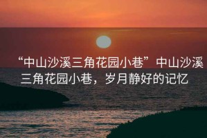 “中山沙溪三角花園小巷”中山沙溪三角花園小巷，歲月靜好的記憶