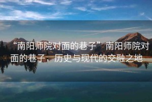 “南陽師院對面的巷子”南陽師院對面的巷子，歷史與現(xiàn)代的交融之地