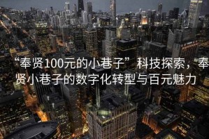 “奉賢100元的小巷子”科技探索，奉賢小巷子的數(shù)字化轉(zhuǎn)型與百元魅力