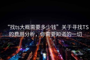 “找ts大概需要多少錢”關(guān)于尋找TS的費(fèi)用分析，你需要知道的一切