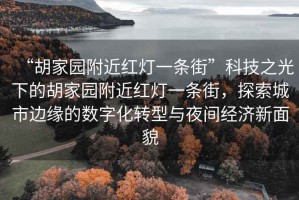 “胡家園附近紅燈一條街”科技之光下的胡家園附近紅燈一條街，探索城市邊緣的數(shù)字化轉(zhuǎn)型與夜間經(jīng)濟新面貌