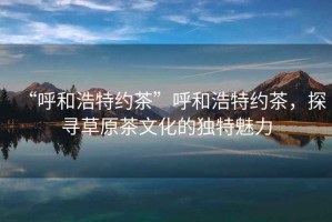 “呼和浩特約茶”呼和浩特約茶，探尋草原茶文化的獨(dú)特魅力