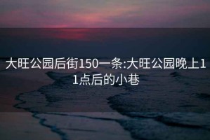 大旺公園后街150一條:大旺公園晚上11點后的小巷