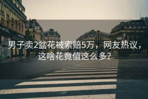 男子賣2盆花被索賠5萬，網(wǎng)友熱議，這啥花竟值這么多？