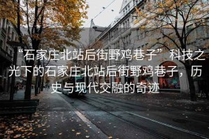 “石家莊北站后街野雞巷子”科技之光下的石家莊北站后街野雞巷子，歷史與現(xiàn)代交融的奇跡