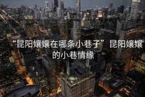 “昆陽孃孃在哪條小巷子”昆陽孃孃的小巷情緣