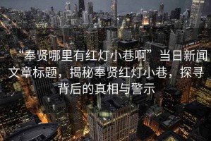 “奉賢哪里有紅燈小巷啊”當日新聞文章標題，揭秘奉賢紅燈小巷，探尋背后的真相與警示