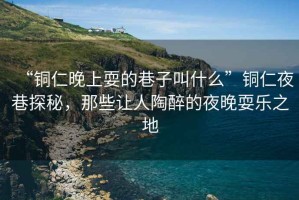“銅仁晚上耍的巷子叫什么”銅仁夜巷探秘，那些讓人陶醉的夜晚耍樂之地