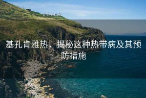 基孔肯雅熱，揭秘這種熱帶病及其預防措施