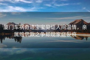 廈門車禍奇跡寶寶見證人間溫情，親屬賠償款之爭卻現(xiàn)家庭裂痕