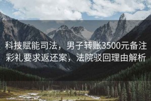 科技賦能司法，男子轉(zhuǎn)賬3500元備注彩禮要求返還案，法院駁回理由解析