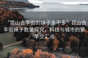 “昆山合豐街的妹子多不多”昆山合豐街妹子數(shù)量探究，科技與城市的繁華交匯點