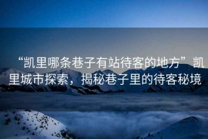 “凱里哪條巷子有站待客的地方”凱里城市探索，揭秘巷子里的待客秘境