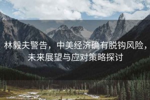 林毅夫警告，中美經(jīng)濟(jì)確有脫鉤風(fēng)險(xiǎn)，未來展望與應(yīng)對(duì)策略探討