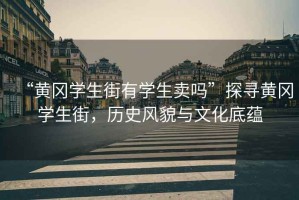 “黃岡學(xué)生街有學(xué)生賣嗎”探尋黃岡學(xué)生街，歷史風(fēng)貌與文化底蘊(yùn)