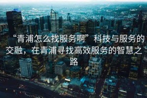 “青浦怎么找服務啊”科技與服務的交融，在青浦尋找高效服務的智慧之路