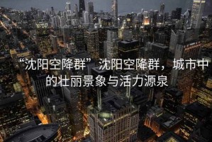 “沈陽空降群”沈陽空降群，城市中的壯麗景象與活力源泉