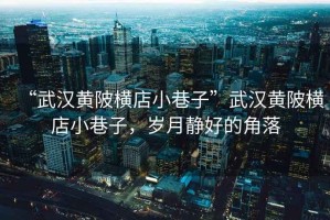 “武漢黃陂橫店小巷子”武漢黃陂橫店小巷子，歲月靜好的角落