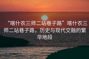 “喀什農(nóng)三師二站巷子路”喀什農(nóng)三師二站巷子路，歷史與現(xiàn)代交融的繁華地段