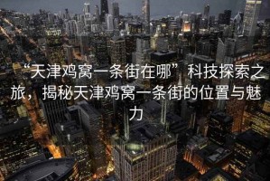 “天津雞窩一條街在哪”科技探索之旅，揭秘天津雞窩一條街的位置與魅力