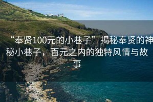 “奉賢100元的小巷子”揭秘奉賢的神秘小巷子，百元之內(nèi)的獨特風情與故事