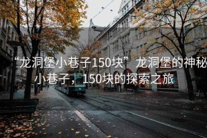 “龍洞堡小巷子150塊”龍洞堡的神秘小巷子，150塊的探索之旅