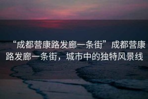 “成都營康路發(fā)廊一條街”成都營康路發(fā)廊一條街，城市中的獨(dú)特風(fēng)景線