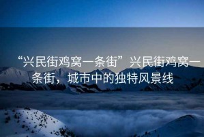 “興民街雞窩一條街”興民街雞窩一條街，城市中的獨特風景線