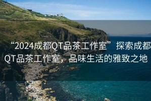 “2024成都QT品茶工作室”探索成都QT品茶工作室，品味生活的雅致之地