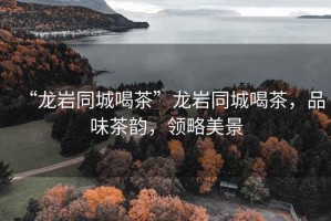 “龍巖同城喝茶”龍巖同城喝茶，品味茶韻，領略美景