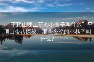 “平頂山晚上玩的小巷子叫什么”平頂山夜巷探秘，那些夜晚的小巷子叫什么？