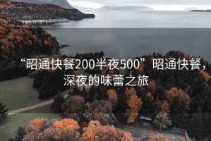 “昭通快餐200半夜500”昭通快餐，深夜的味蕾之旅
