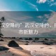 “武漢空降約”武漢空降約，探索城市新魅力