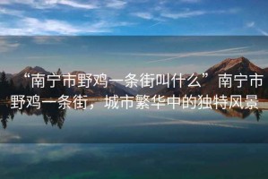 “南寧市野雞一條街叫什么”南寧市野雞一條街，城市繁華中的獨(dú)特風(fēng)景