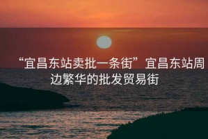 “宜昌東站賣批一條街”宜昌東站周邊繁華的批發(fā)貿(mào)易街