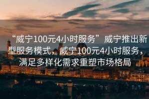“威寧100元4小時(shí)服務(wù)”威寧推出新型服務(wù)模式，威寧100元4小時(shí)服務(wù)，滿足多樣化需求重塑市場(chǎng)格局