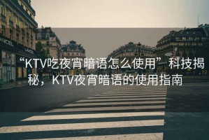 “KTV吃夜宵暗語怎么使用”科技揭秘，KTV夜宵暗語的使用指南