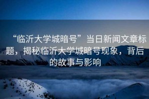 “臨沂大學(xué)城暗號(hào)”當(dāng)日新聞文章標(biāo)題，揭秘臨沂大學(xué)城暗號(hào)現(xiàn)象，背后的故事與影響