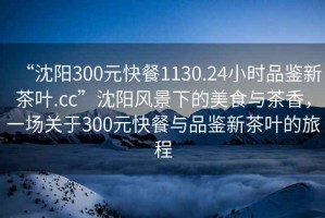 “沈陽(yáng)300元快餐1130.24小時(shí)品鑒新茶葉.cc”沈陽(yáng)風(fēng)景下的美食與茶香，一場(chǎng)關(guān)于300元快餐與品鑒新茶葉的旅程
