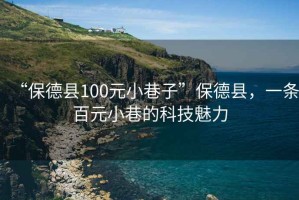 “保德縣100元小巷子”保德縣，一條百元小巷的科技魅力