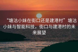 “塘沽小妹在街口還是建港村”塘沽小妹與智能科技，街口與建港村的未來展望