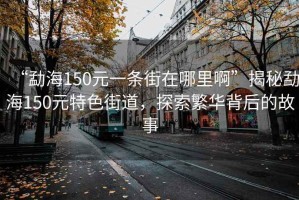 “勐海150元一條街在哪里啊”揭秘勐海150元特色街道，探索繁華背后的故事