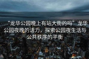 “龍華公園晚上有站大街的嗎”龍華公園夜晚的活力，探索公園夜生活與公共秩序的平衡