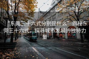 “東莞三十六式分別是什么”揭秘東莞三十六式，探尋城市發(fā)展的獨特力量
