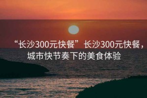 “長沙300元快餐”長沙300元快餐，城市快節(jié)奏下的美食體驗