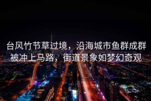 臺風竹節(jié)草過境，沿海城市魚群成群被沖上馬路，街道景象如夢幻奇觀