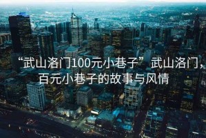 “武山洛門100元小巷子”武山洛門，百元小巷子的故事與風(fēng)情