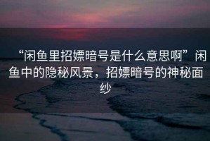 “閑魚里招嫖暗號是什么意思啊”閑魚中的隱秘風(fēng)景，招嫖暗號的神秘面紗